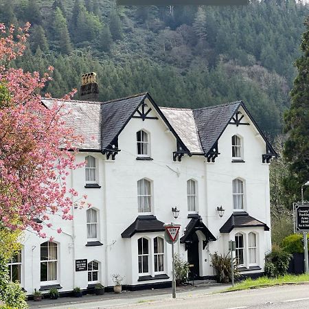 The Buckley Arms Hotel Dinas Mawddwy Buitenkant foto