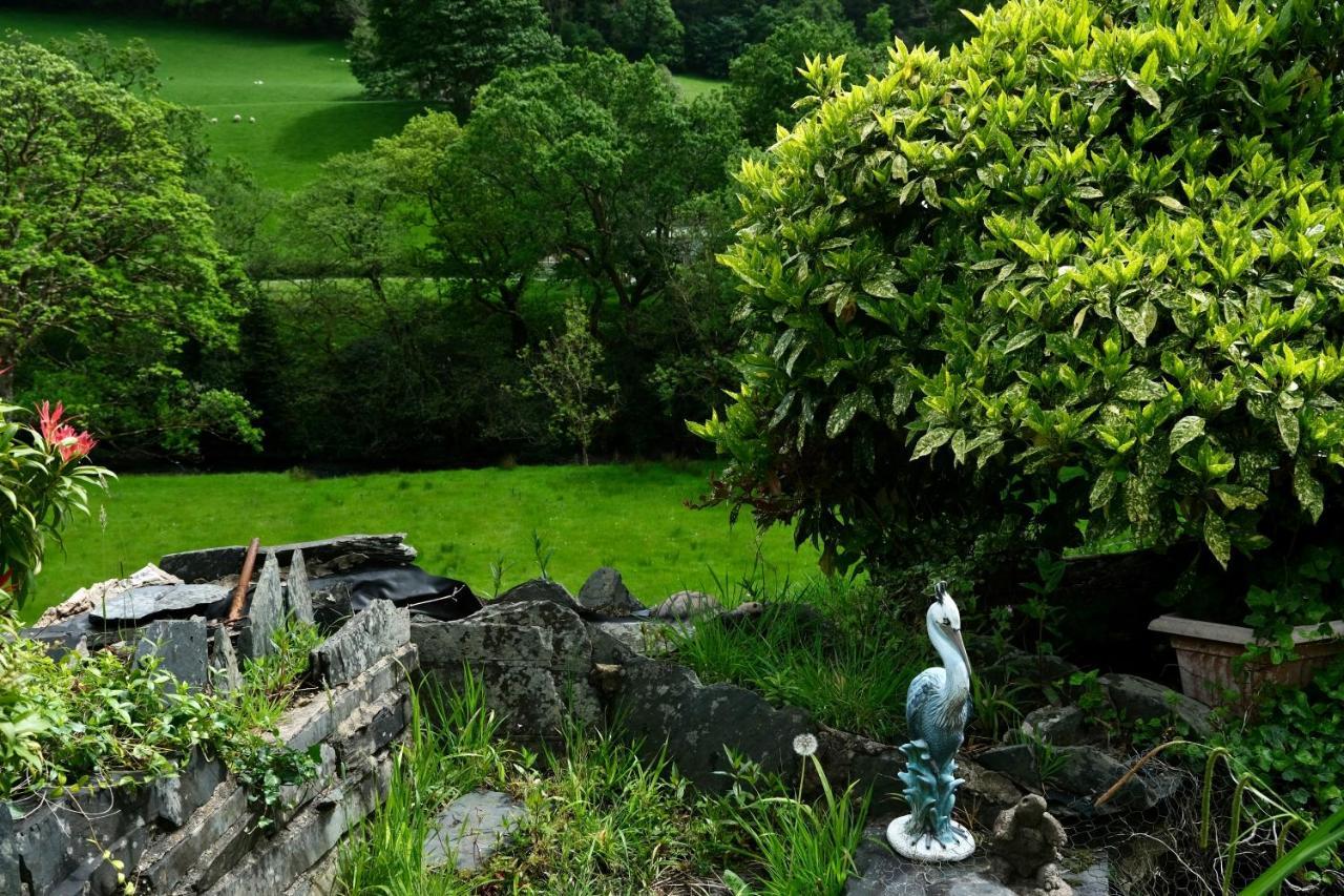 The Buckley Arms Hotel Dinas Mawddwy Buitenkant foto